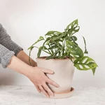 Kép 1/3 - virágkaspó Bergs Potter
