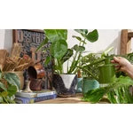 Kép 6/7 - HAWS locsolókanna, fern green, 1 literes
