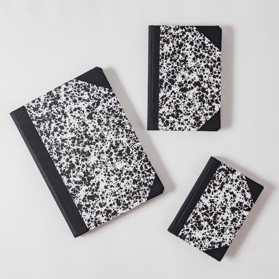 Emilio Braga notebooks