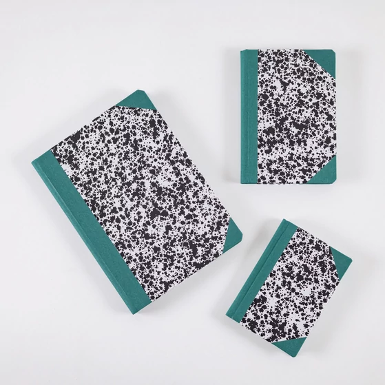 Emilio Braga notebooks, green
