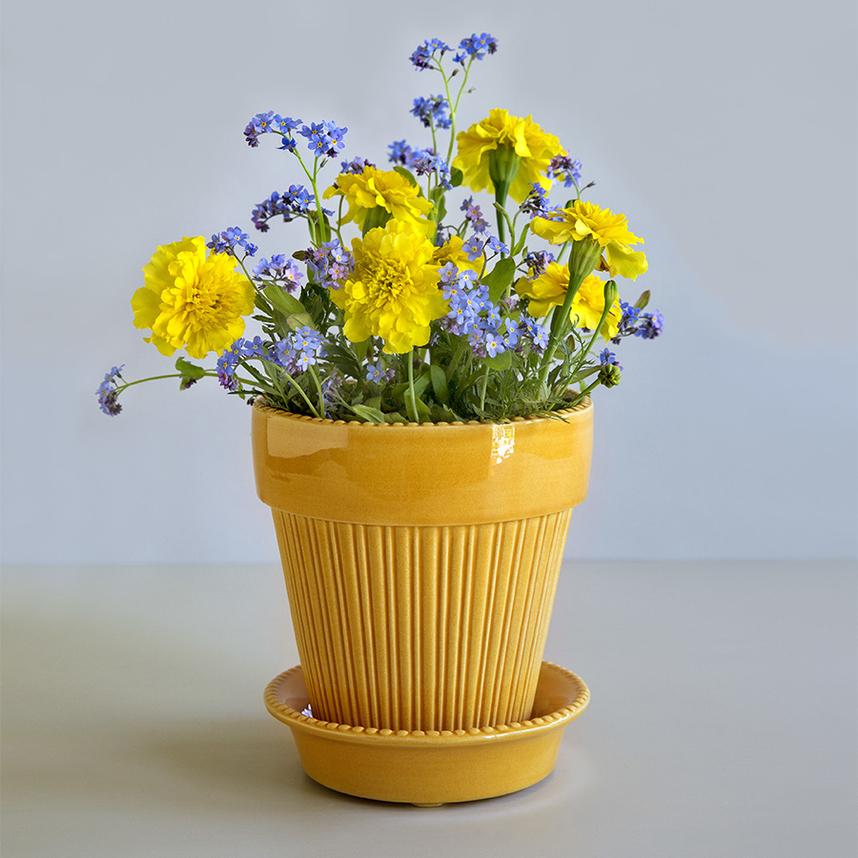 Bergs Potter Simona virágkaspó, sárga, 14cm