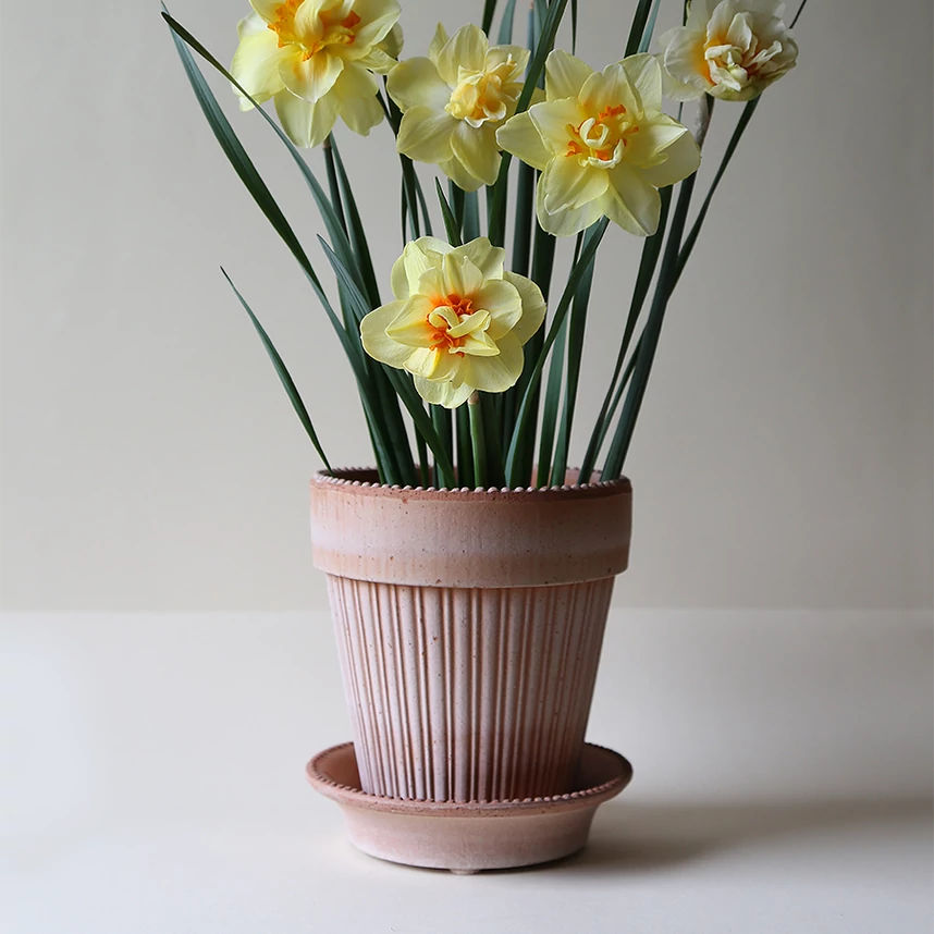 Bergs Potter Simona cserép, 16cm, rose